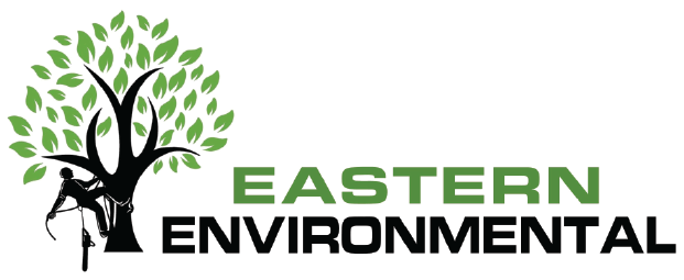 Eastern Environmental trees logo